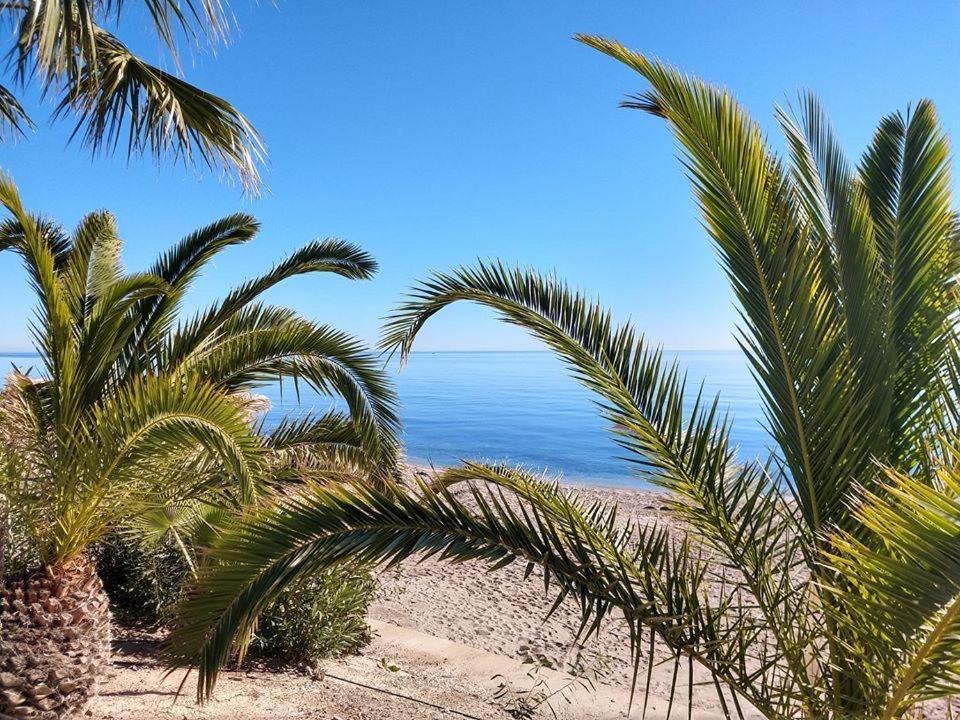 Ola Laguna Beach Vera Playa Εξωτερικό φωτογραφία